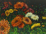 Floral Interpretation - Gerber Daisies